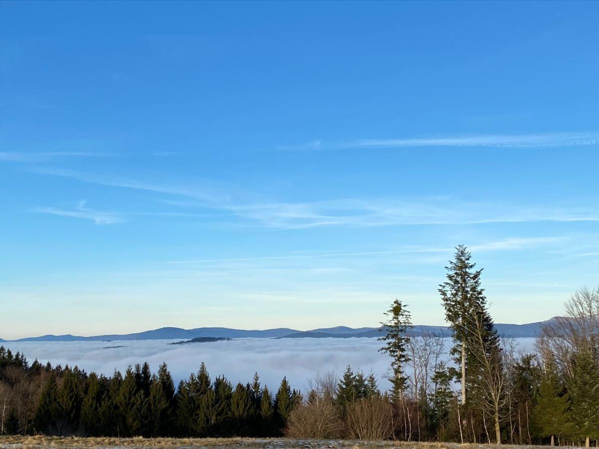 Uriges Top-Apartment Im Bayerischen Wald 3Br! +Netflix Schöfweg Exteriér fotografie